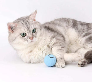 EE™ - ELECTRIC CAT BALL TOYS AUTOMATIC ROLLING BALL FOR CATS