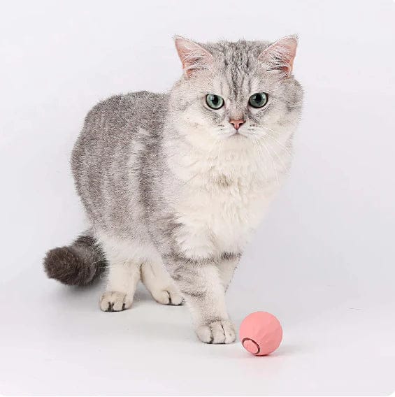 EE™ - ELECTRIC CAT BALL TOYS AUTOMATIC ROLLING BALL FOR CATS