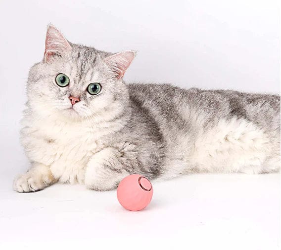 EE™ - ELECTRIC CAT BALL TOYS AUTOMATIC ROLLING BALL FOR CATS